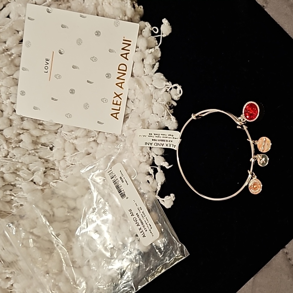 Alex and Ani Bracelet